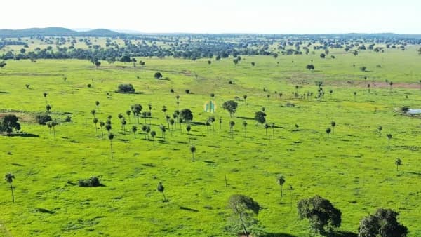 Fazenda/Sítios/Chácaras em Mundo Novo - Centro