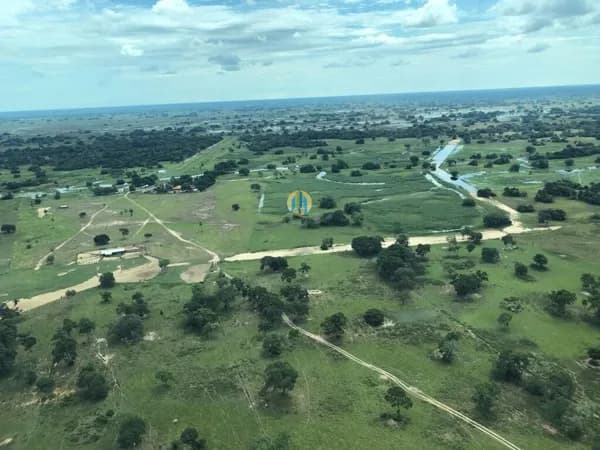 Fazenda/Sítios/Chácaras em Corumbá - Nhecolândia