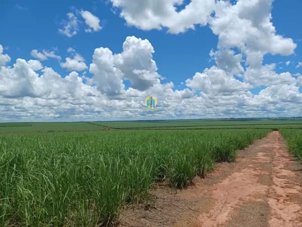 Fazenda/Sítios/Chácaras em Araçatuba - Vila São Paulo