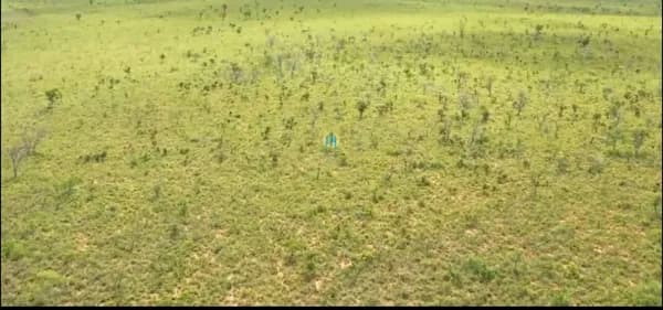 Fazenda/Sítios/Chácaras em Mateiros - Centro