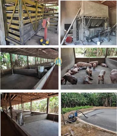 Fazenda/Sítios/Chácaras em Moju - Centro