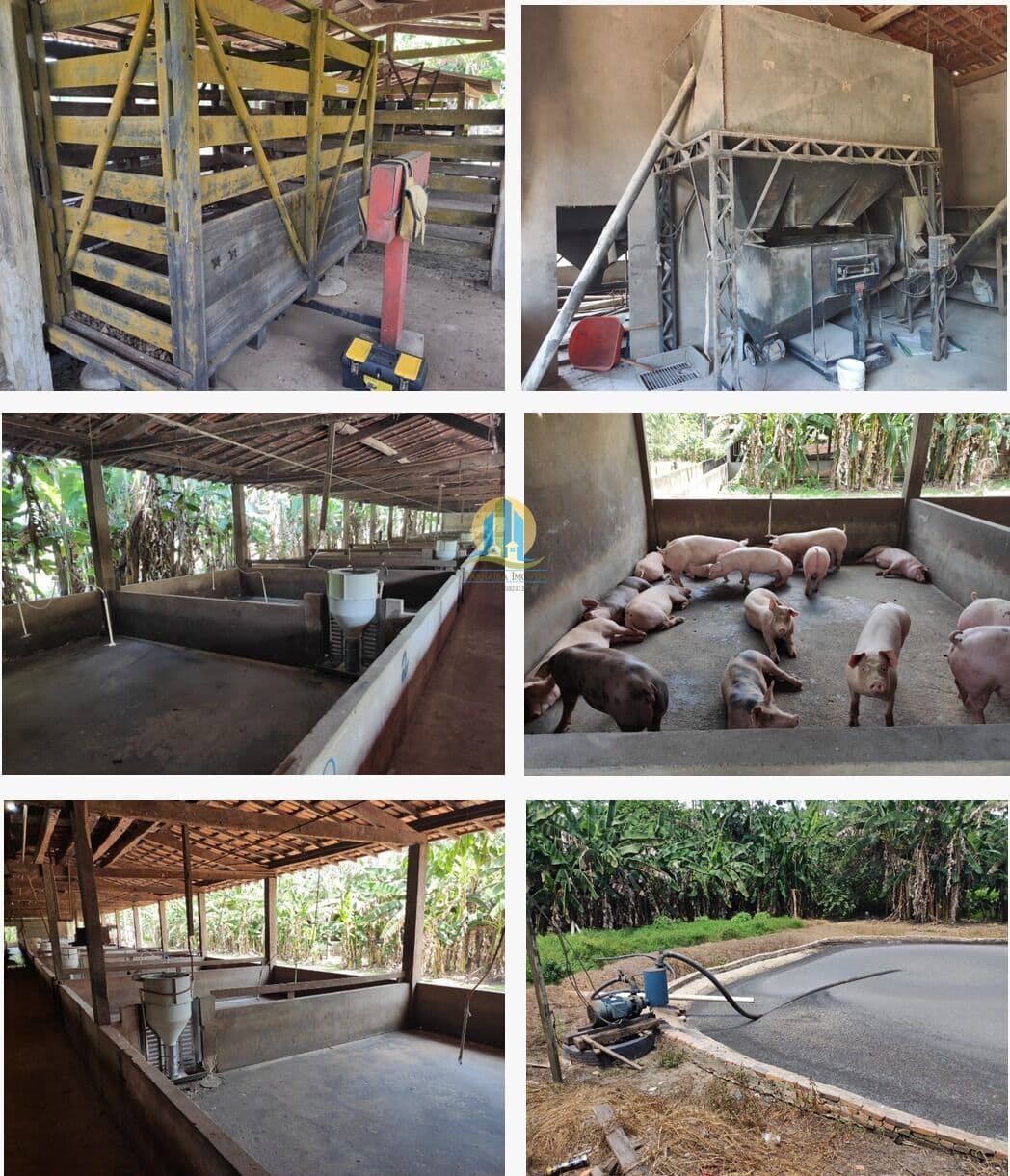 Fazenda/Sítios/Chácaras em Moju - Centro