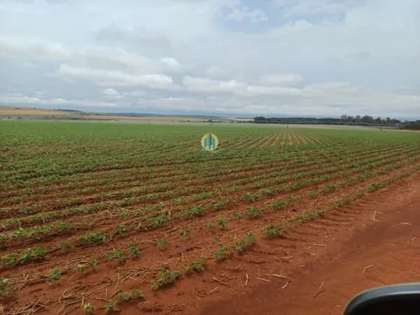 Fazenda/Sítios/Chácaras em Itaberá - Centro