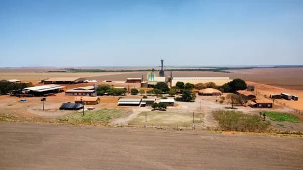 Fazenda/Sítios/Chácaras em Carolina - Centro