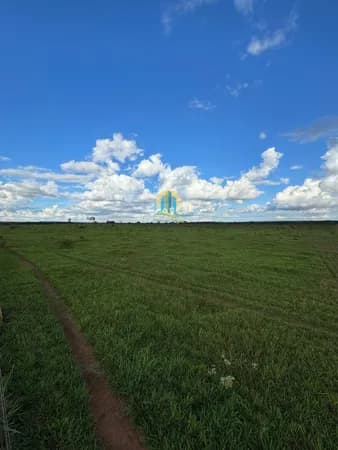Fazenda/Sítios/Chácaras em Nova Alvorada do Sul - Centro