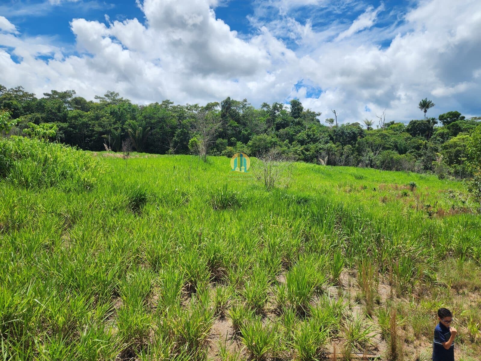 Fazenda/Sítios/Chácaras em Sinop - Setor Residencial Sul