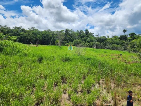 Fazenda/Sítios/Chácaras em Sinop - Setor Residencial Sul