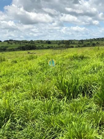 Fazenda/Sítios/Chácaras em Tocantins - Centro