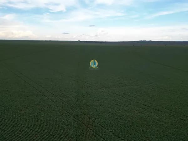 Fazenda/Sítios/Chácaras em Ribas do Rio Pardo - Centro