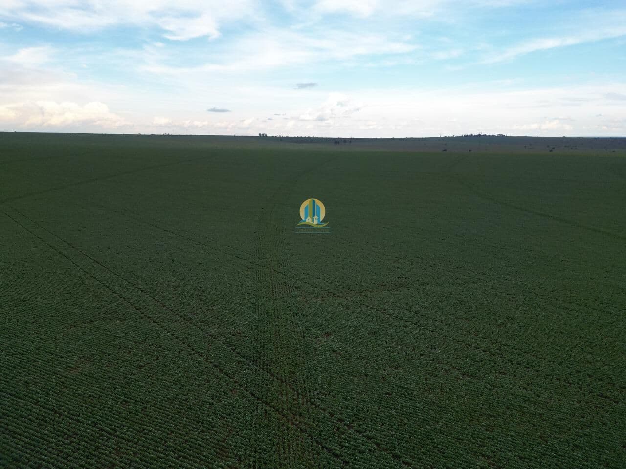 Fazenda/Sítios/Chácaras em Ribas do Rio Pardo - Centro