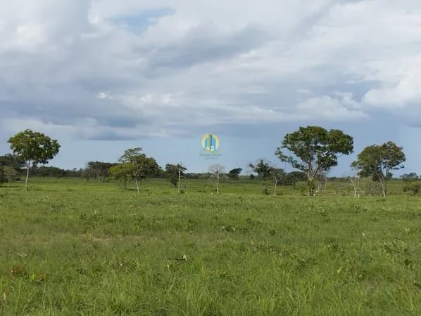 Fazenda/Sítios/Chácaras em Conceição do Tocantins - Centro
