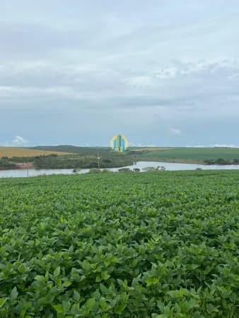 Fazenda Lavoura em Centro, Cristalina/GO