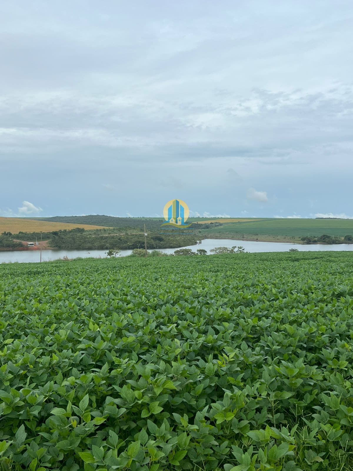 Fazenda Lavoura em Centro, Cristalina/GO