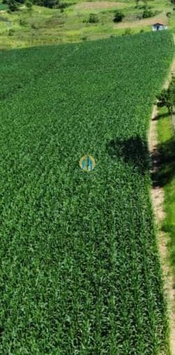 Fazenda/Sítios/Chácaras em Jacareí - Parque Santo Antônio