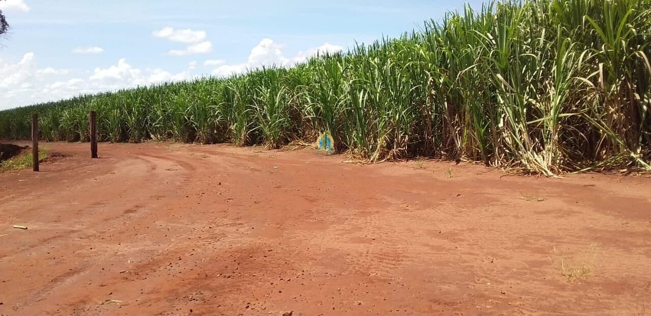 Fazenda/Sítios/Chácaras em Ribeirão Preto - Jardim Botânico