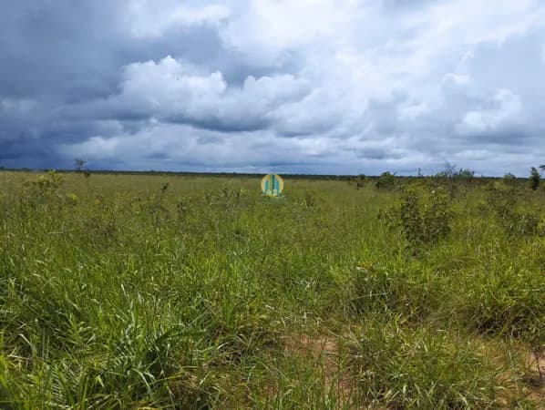 Fazenda á Venda !!