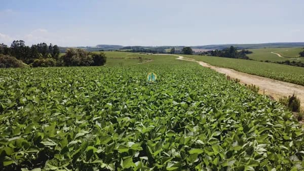 Fazenda/Sítios/Chácaras em Itapetininga - Centro