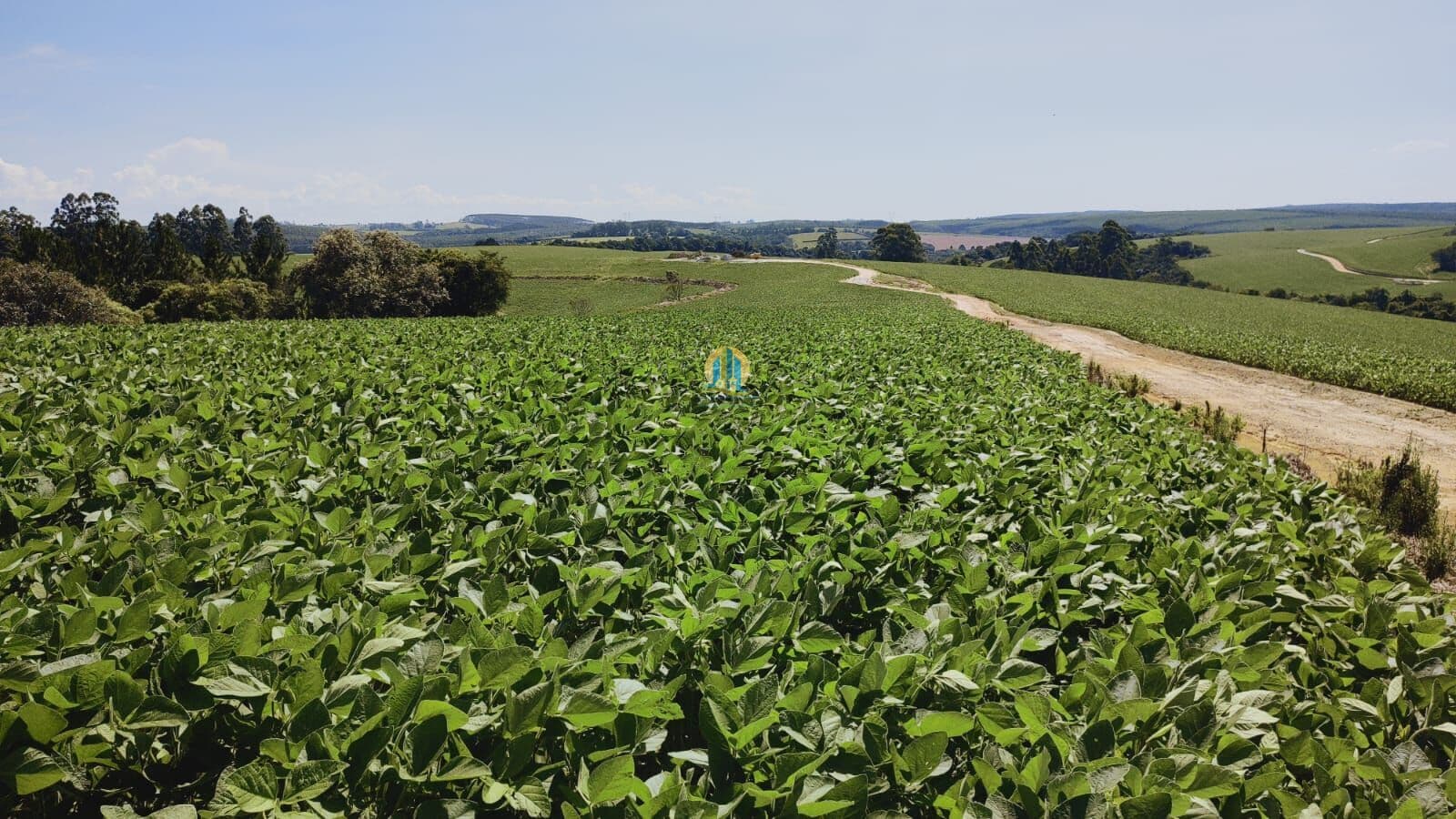Fazenda/Sítios/Chácaras em Itapetininga - Centro