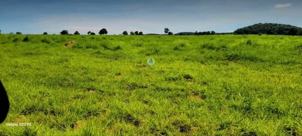 Fazenda/Sítios/Chácaras em Mundo Novo - Centro