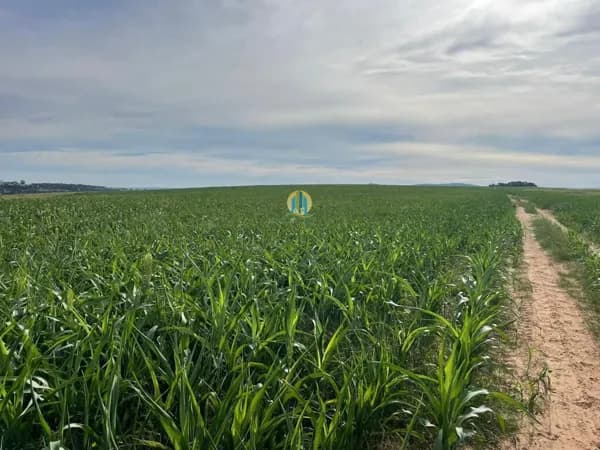 Fazenda/Sítios/Chácaras em Goiânia - Setor Central