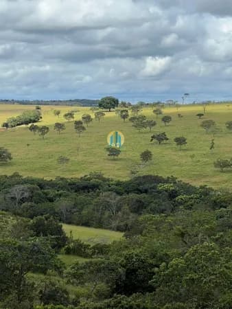 Fazenda/Sítios/Chácaras em Luziânia - Centro