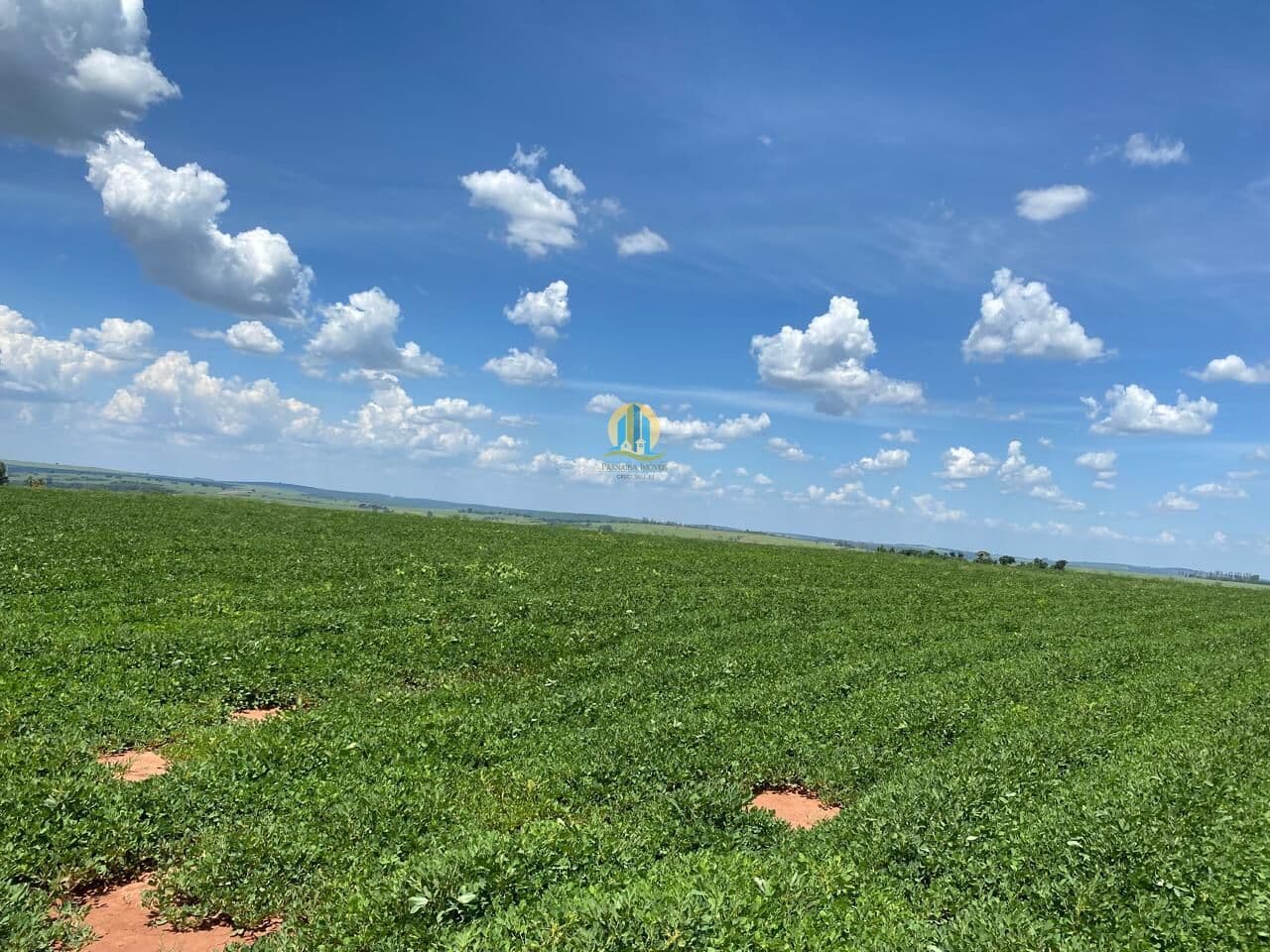 Fazenda/Sítios/Chácaras em Botucatu - Centro
