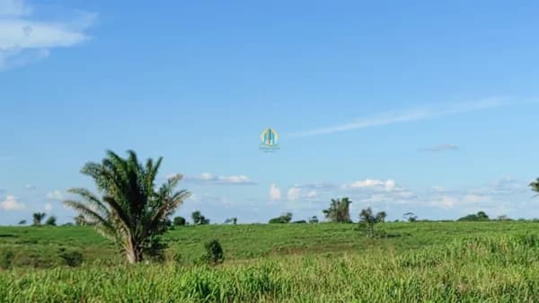 Fazenda/Sítios/Chácaras em Marabá - Amapá