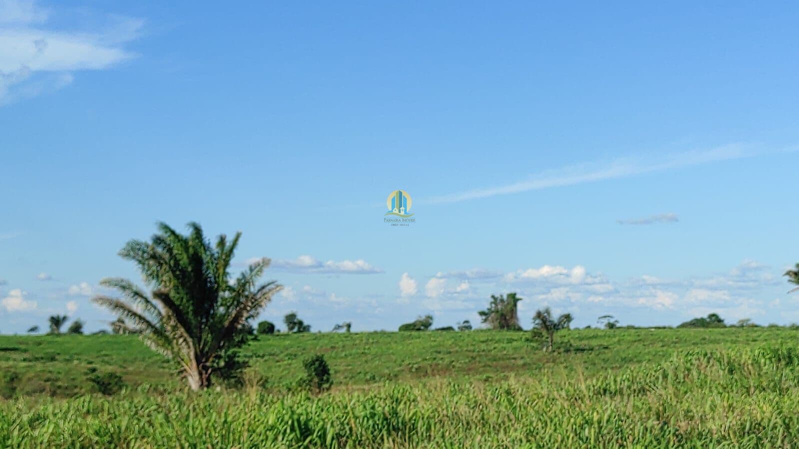 Fazenda/Sítios/Chácaras em Marabá - Amapá