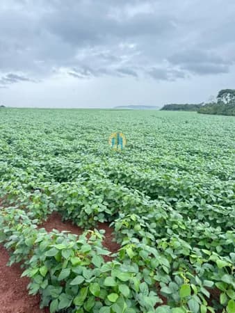 Fazenda/Sítios/Chácaras em Caiapônia - Centro