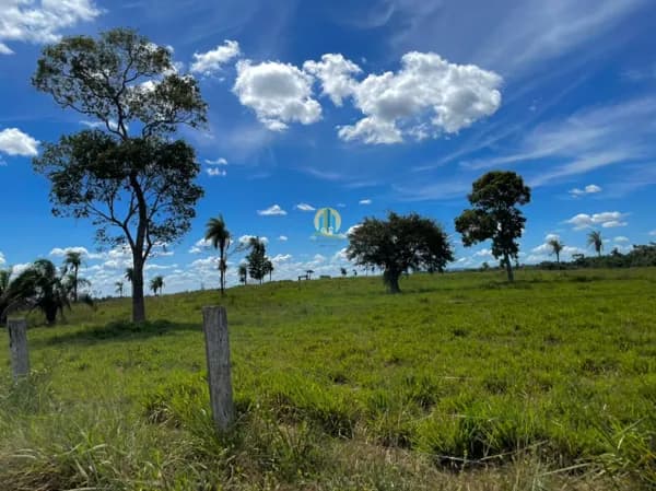 Fazenda/Sítios/Chácaras em Bandeirantes do Tocantins - Centro