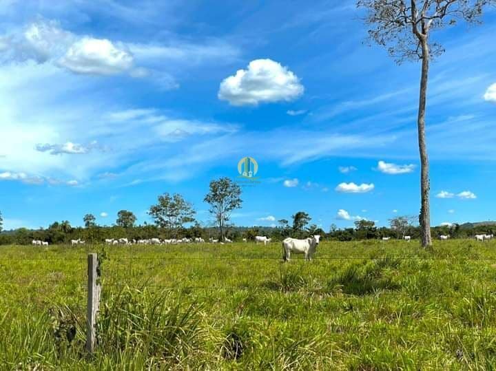 Fazenda á Venda !!