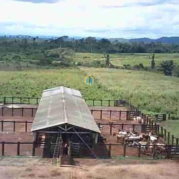 Fazenda/Sítios/Chácaras em São Félix do Xingu - Centro