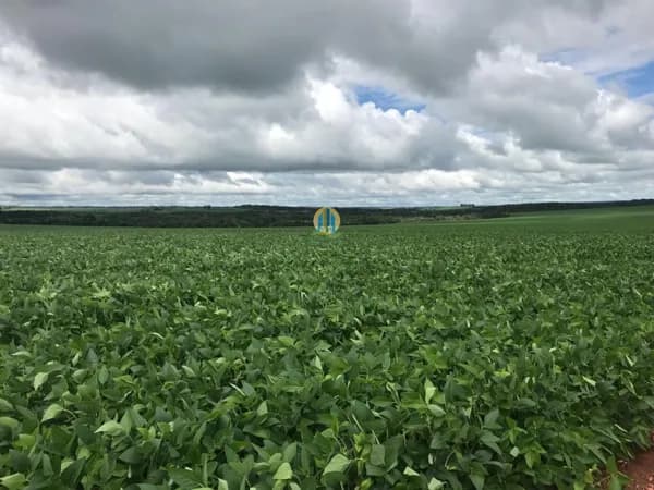 Fazenda a venda !!
