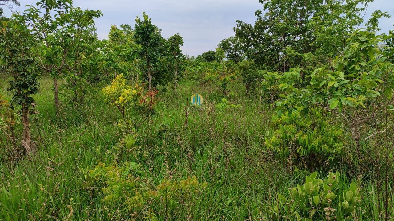 Fazenda/Sítios/Chácaras em Três Lagoas - Centro