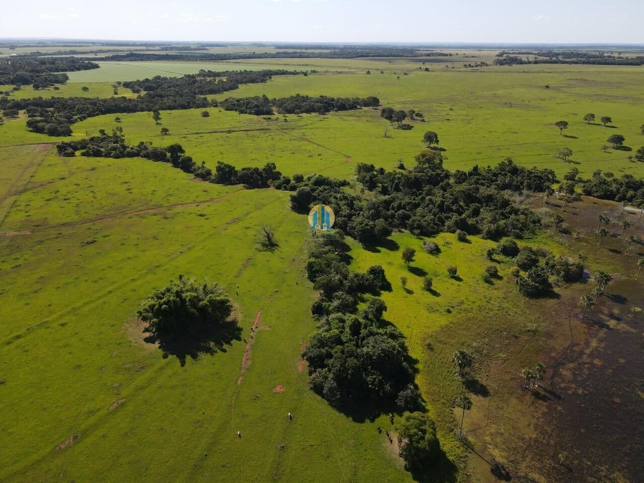 Ótima Fazenda a venda !!!