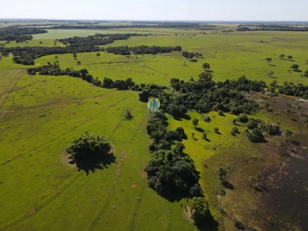 Ótima Fazenda a venda !!!