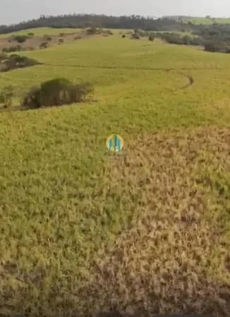 Fazenda á Venda em SP !