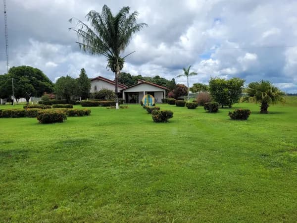 Fazenda/Sítios/Chácaras em Peixoto de Azevedo - Centro