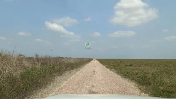 Fazenda á Venda no Pará !!