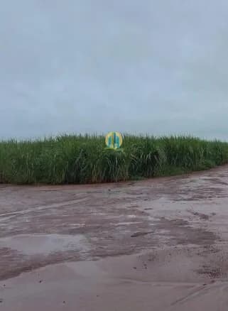 Fazenda á venda !!