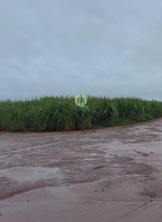 Fazenda á venda !!
