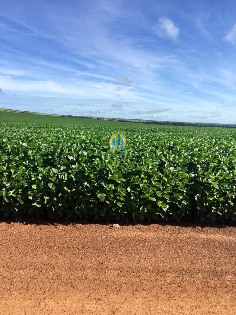 Fazenda á venda em Mato Grosso !!