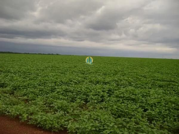 Fazenda Lavoura em Centro, Porto Alegre do Norte/MT