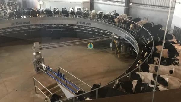 Fazenda á Venda em SP!