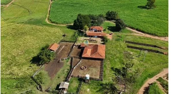 Fazenda/Sítios/Chácaras em Olímpia - Patrimônio de São João Batista