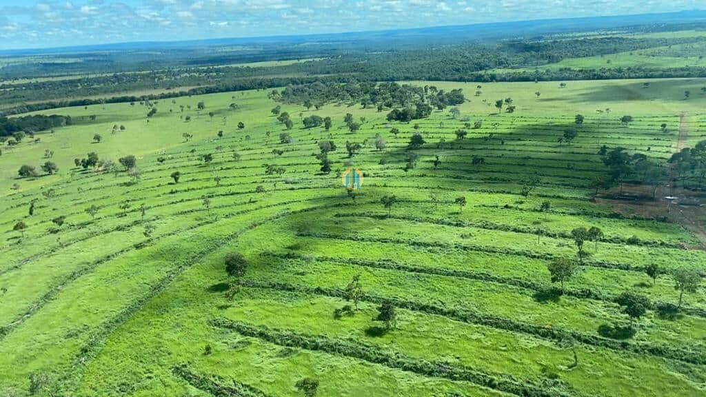 Fazenda/Sítios/Chácaras em Alcinópolis - Centro