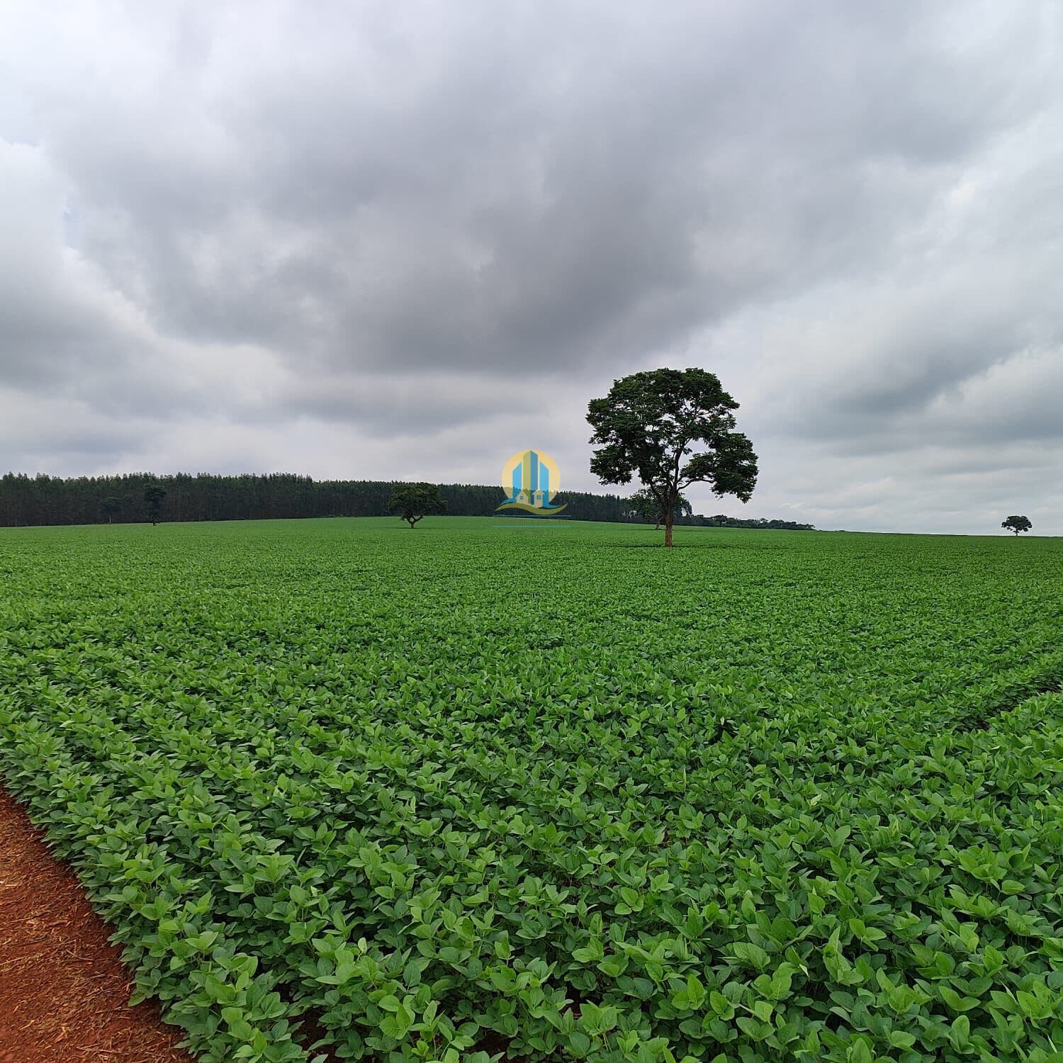 Fazenda Lavoura em Centro, Luz/MG