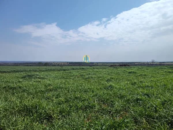 Fazenda em MS á Venda !!