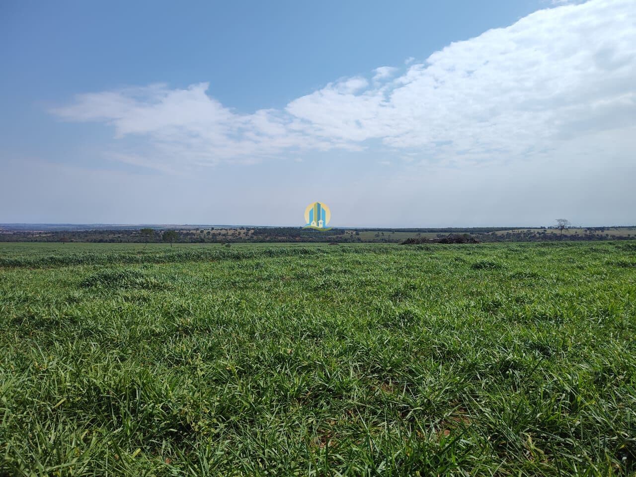 Fazenda em MS á Venda !!