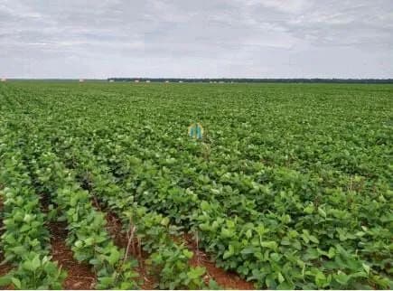 Fazenda á Venda !!